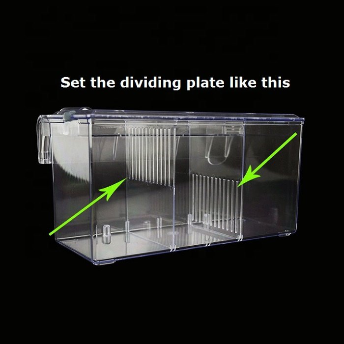 ABS-H2 Multi compartment fish isolation breeding box, L-size external Plastic Aquarium multi compartment fish isolation breeding