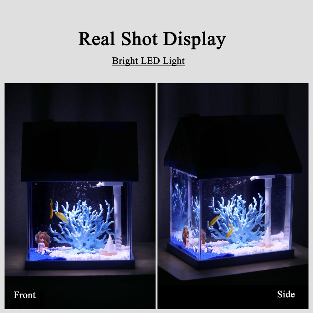 Custom High-quality Fashionable Small Fish Tank Self Cleaning Aquarium