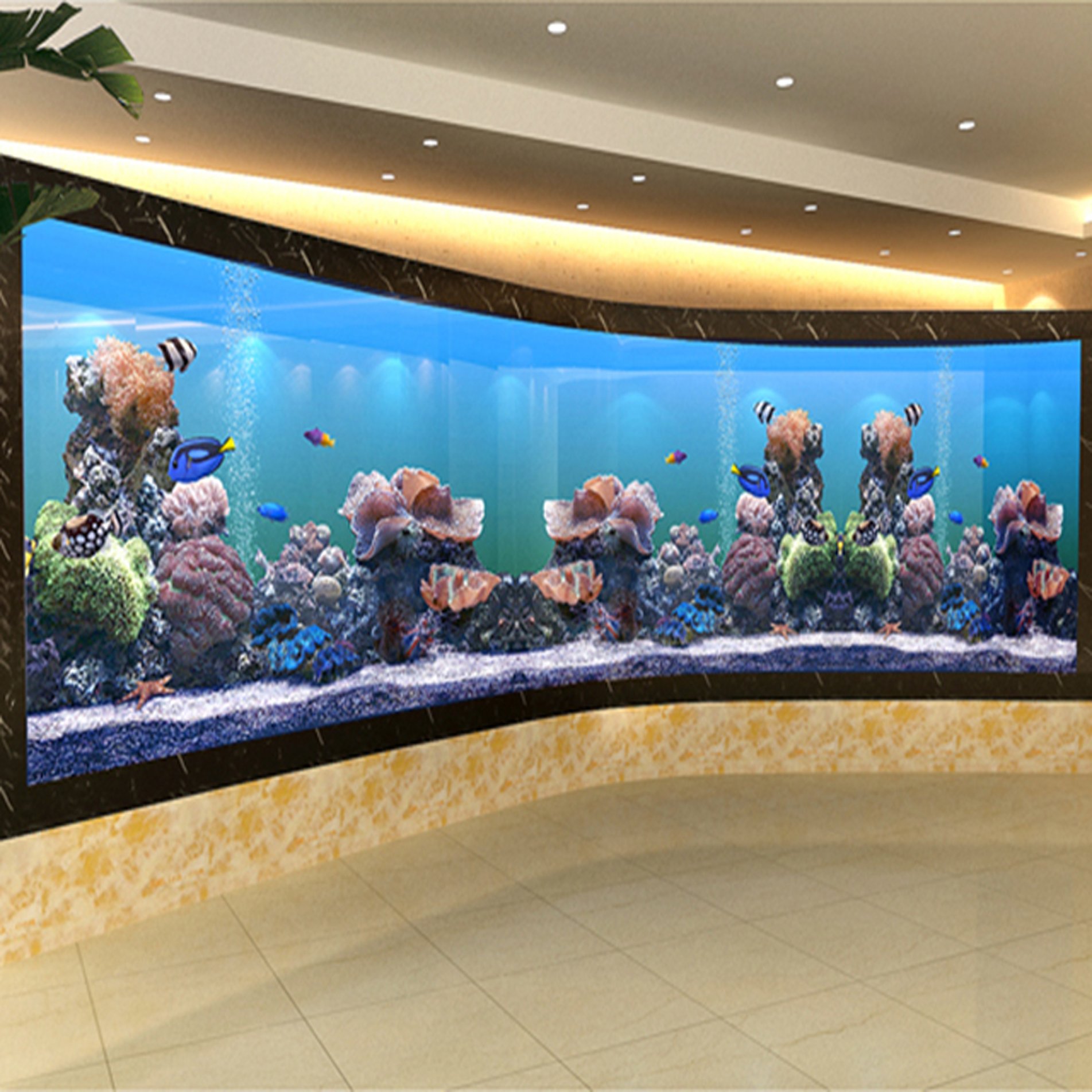 Custom Shape Cylinder Rectangle Clear Fish Aquarium Tank Glass 2021 China Aquariums & Accessories 5l Plastic Water Tank Fish
