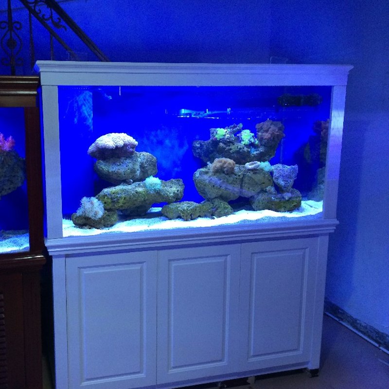 Aquariums aquarium & accessory fish aquarium plastic type and aquariums & accessories