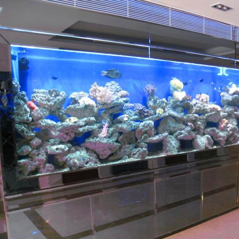 Aquariums aquarium & accessory fish aquarium plastic type and aquariums & accessories