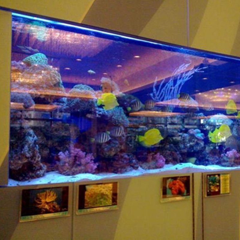 Aquariums aquarium & accessory fish aquarium plastic type and aquariums & accessories