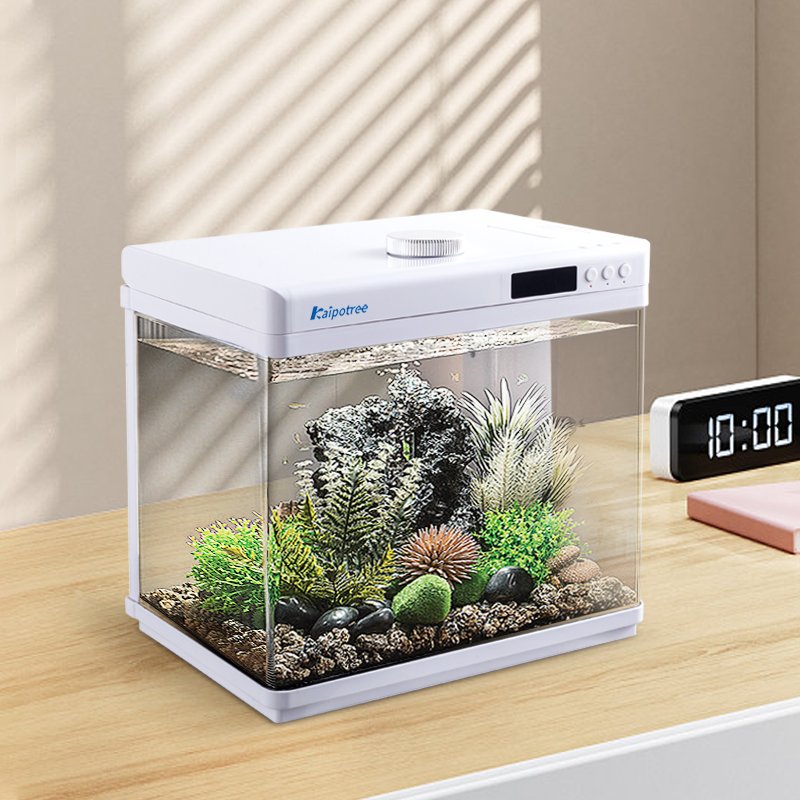 ecological aquarium home decoration office Mini fish tank HD clear glass fish tank aquarium Desktop