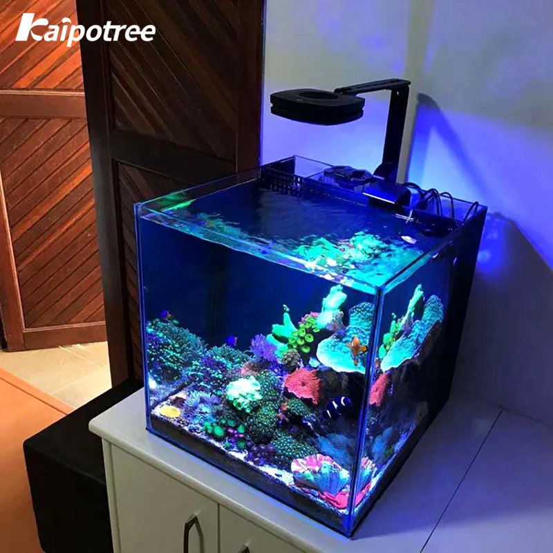 Aquarium fish tank glass marine tank rookie reef aquarium salt water fish tank for beginner