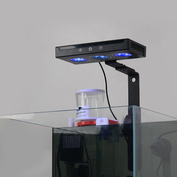 Aquarium fish tank glass marine tank rookie reef aquarium salt water fish tank for beginner