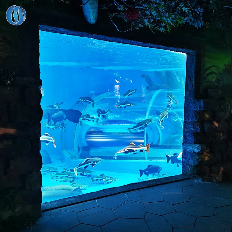 Lesheng Ocean Park Large Custom Made Plastic Fish Tank, Clear Cylinder Acrylic Aquarium