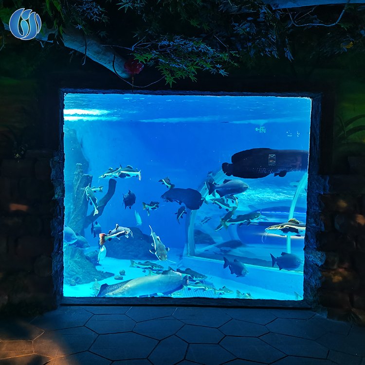 Lesheng Ocean Park Large Custom Made Plastic Fish Tank, Clear Cylinder Acrylic Aquarium