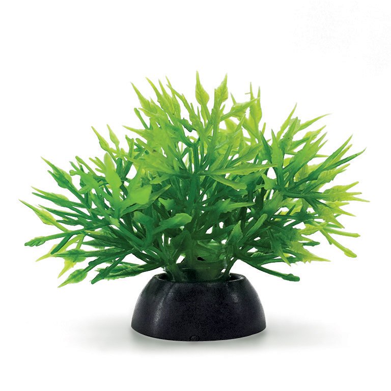 Hot Sale Aquarium Decoration 2inch 3inch Foreground Aquatic Plants