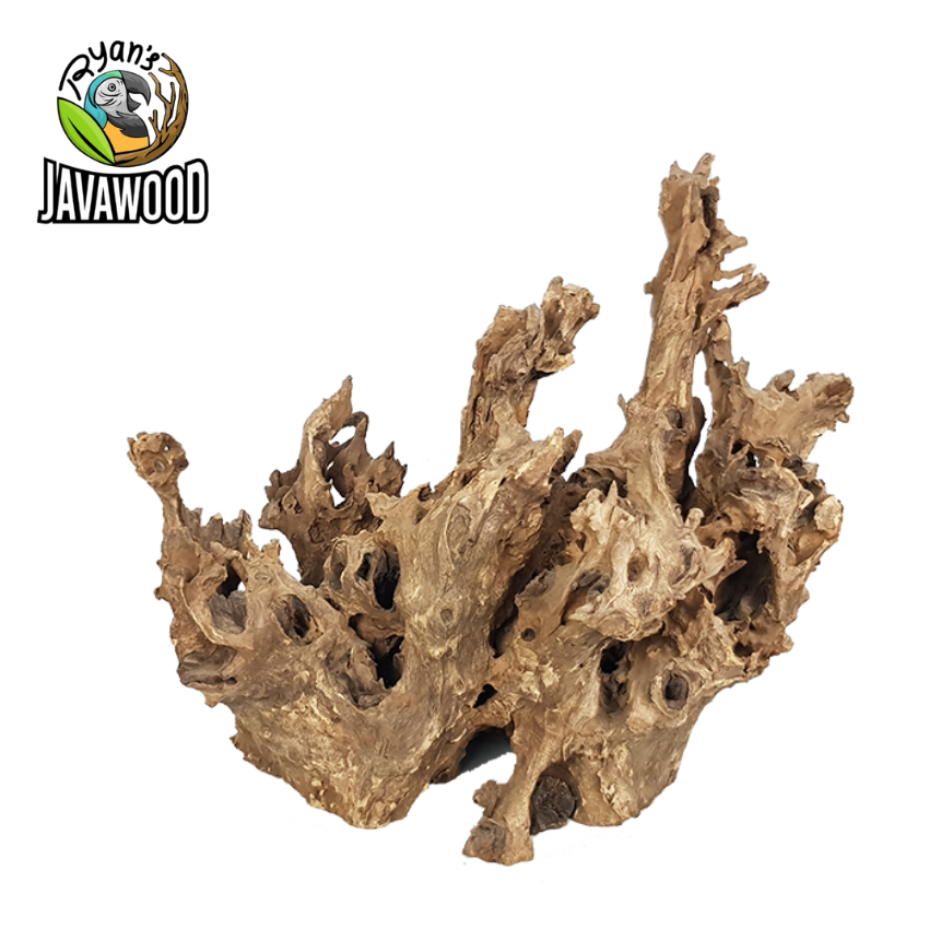 Indonesia Manufacturer Aquarium Fish Tank Accessories Natural Decorative Bonsai Crown wood from Central Java