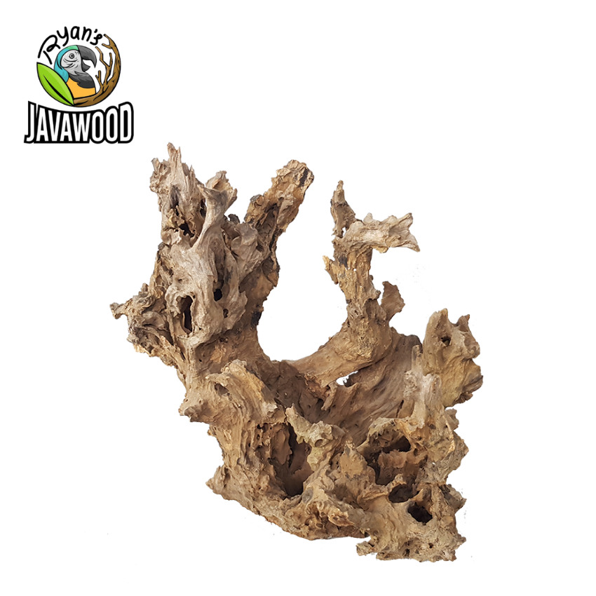 Indonesia Manufacturer Aquarium Fish Tank Accessories Natural Decorative Bonsai Crown wood from Central Java