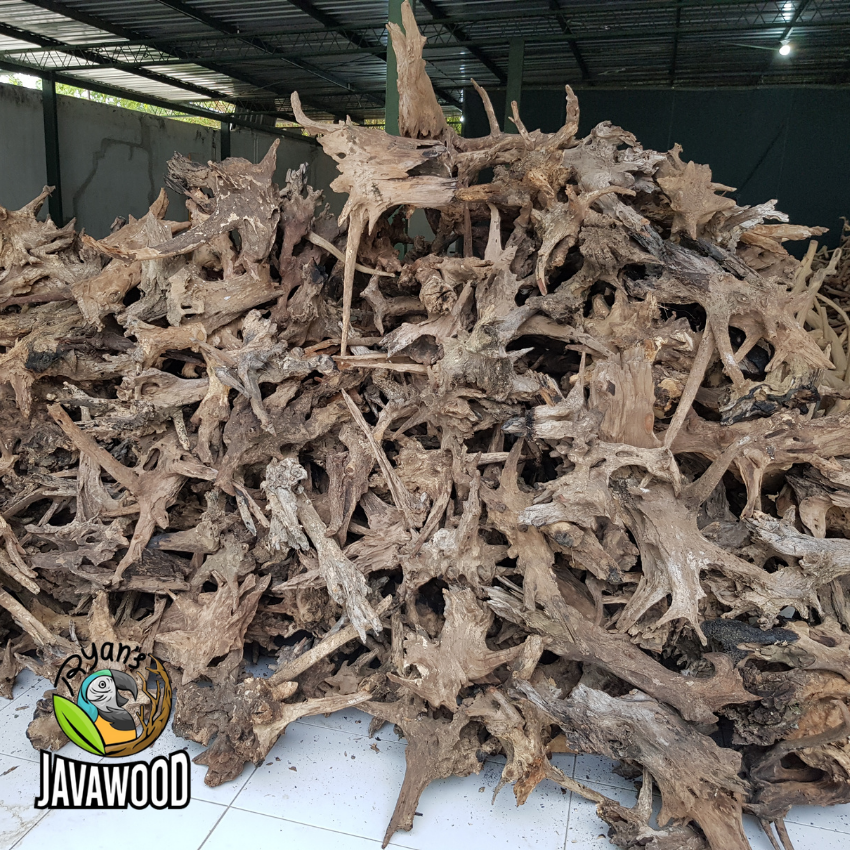 High Quality Natural Bonsai Crown wood Aqua scaping For Plant Aquarium Tank home decoration from Central Java Indonesia