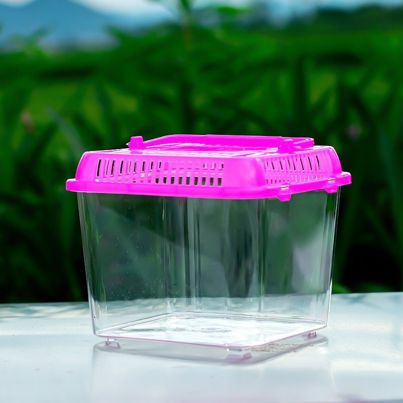 Clear Plastic Eco-Friendly Portable Aquarium Accessories Turtle Tank Breeding Box with Island for Water Usage