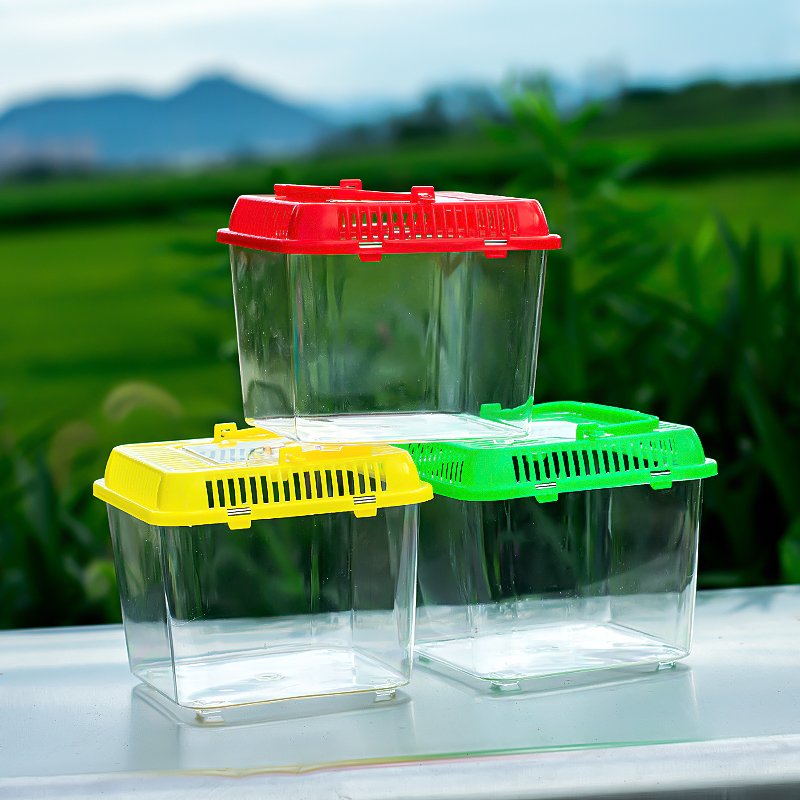Clear Plastic Eco-Friendly Portable Aquarium Accessories Turtle Tank Breeding Box with Island for Water Usage