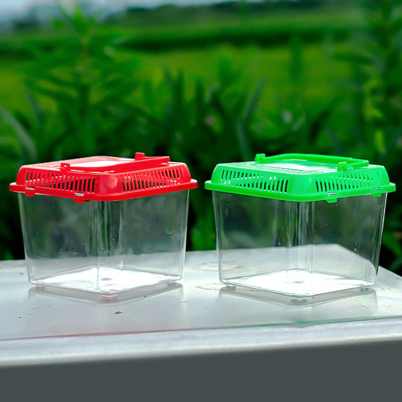 Clear Plastic Eco-Friendly Portable Aquarium Accessories Turtle Tank Breeding Box with Island for Water Usage