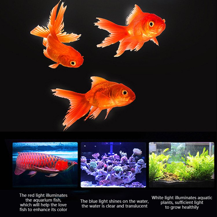 White Fish Tank Lazy Glass Aquarium, LED Aquarium Fish Tank High Transparent Glass Aquarium Fish Breeding Farming Tank