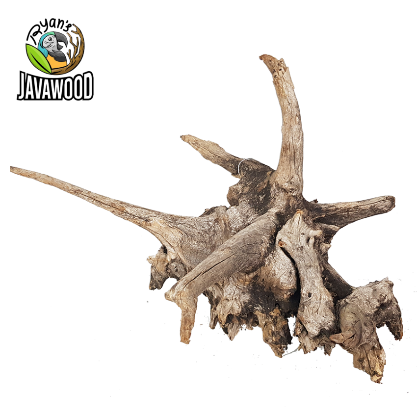 New Desain Hardscape Materials Aquascaping Nature Bonsai Crownwood