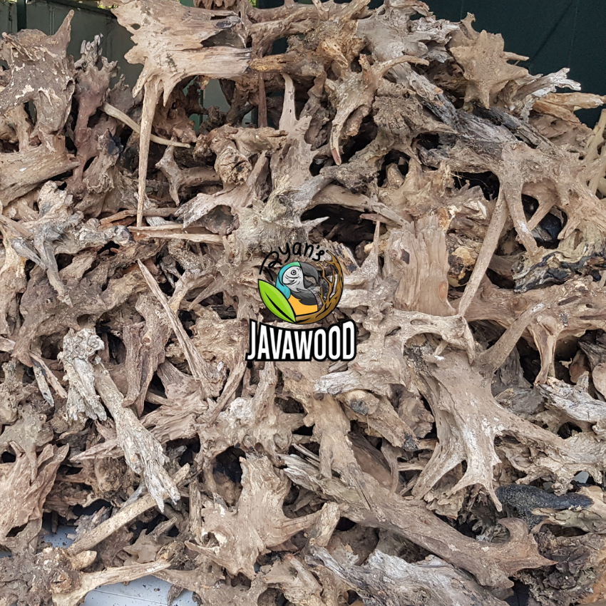 New Desain Hardscape Materials Aquascaping Nature Bonsai Crownwood