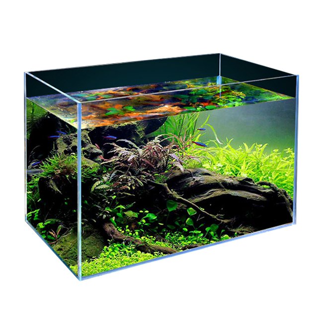 Customizable Aquarium Crystal Glass Fish Tank