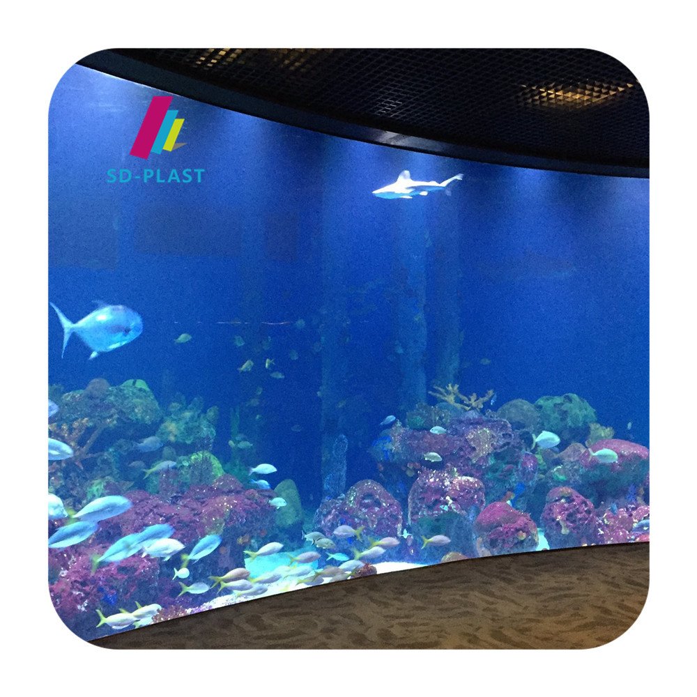 Custom Outdoor 20-800mm Acrylic Aquarium Fish Tank Large Acrylic Fish Tank Aquarium