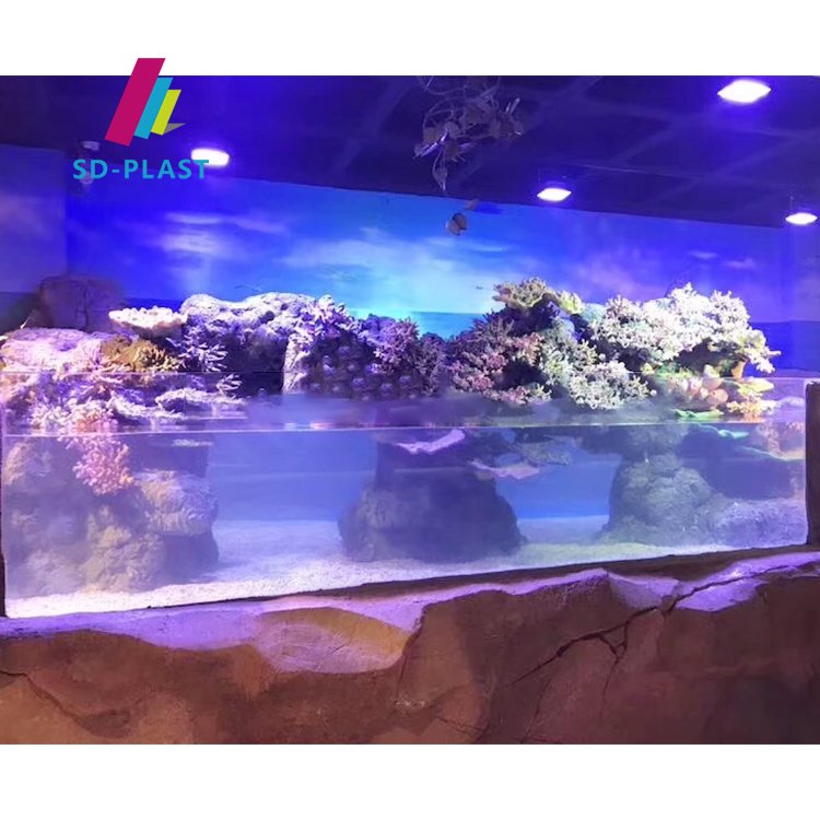 Custom Outdoor 20-800mm Acrylic Aquarium Fish Tank Large Acrylic Fish Tank Aquarium