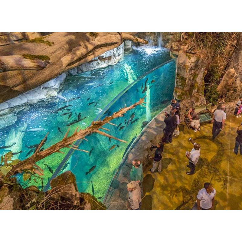 Factory Custom Stylish Acrylic Fish Tanks Durable Plastic Aquariums for Pond Water Usage Bag Packed Filtration Application