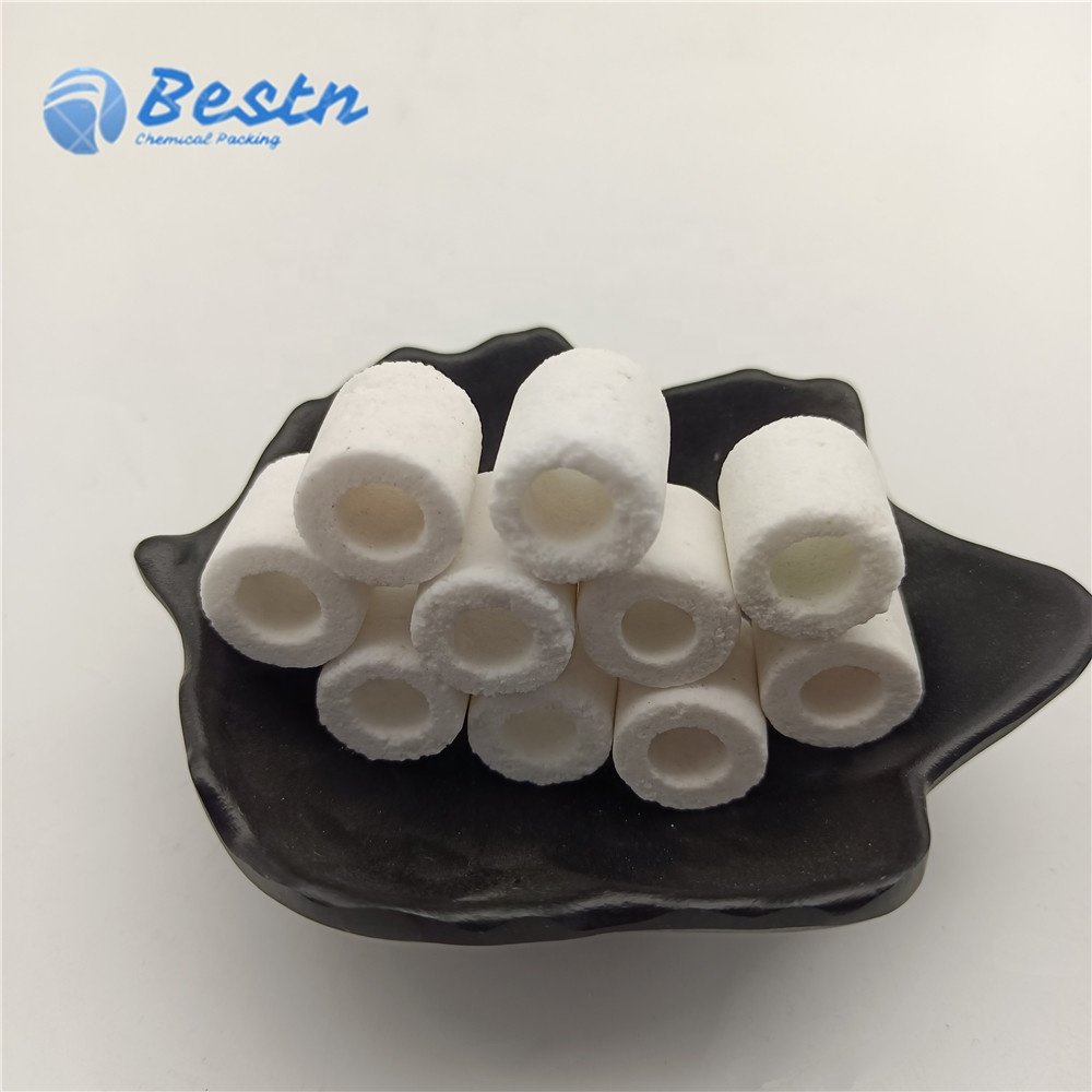 High Porosity White Bioglass Ring Ceramic Bio Rings in Sock
