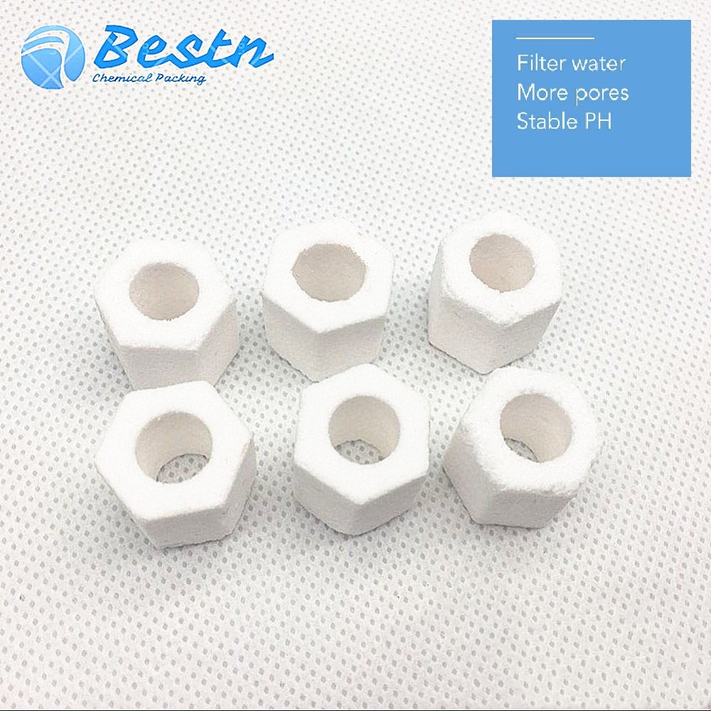 High Porosity White Bioglass Ring Ceramic Bio Rings in Sock
