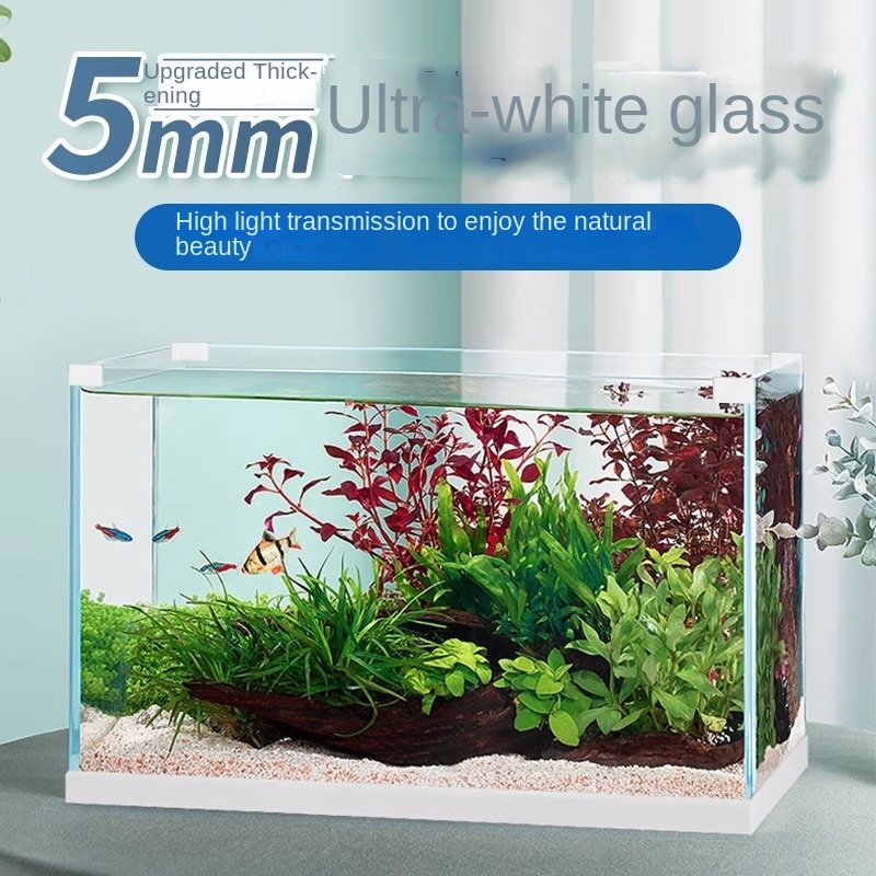 Super White Desktop Aquarium Widened Fish Tank for Living Room Small Ecological Pond Medium Fish Direct Sales from Globe