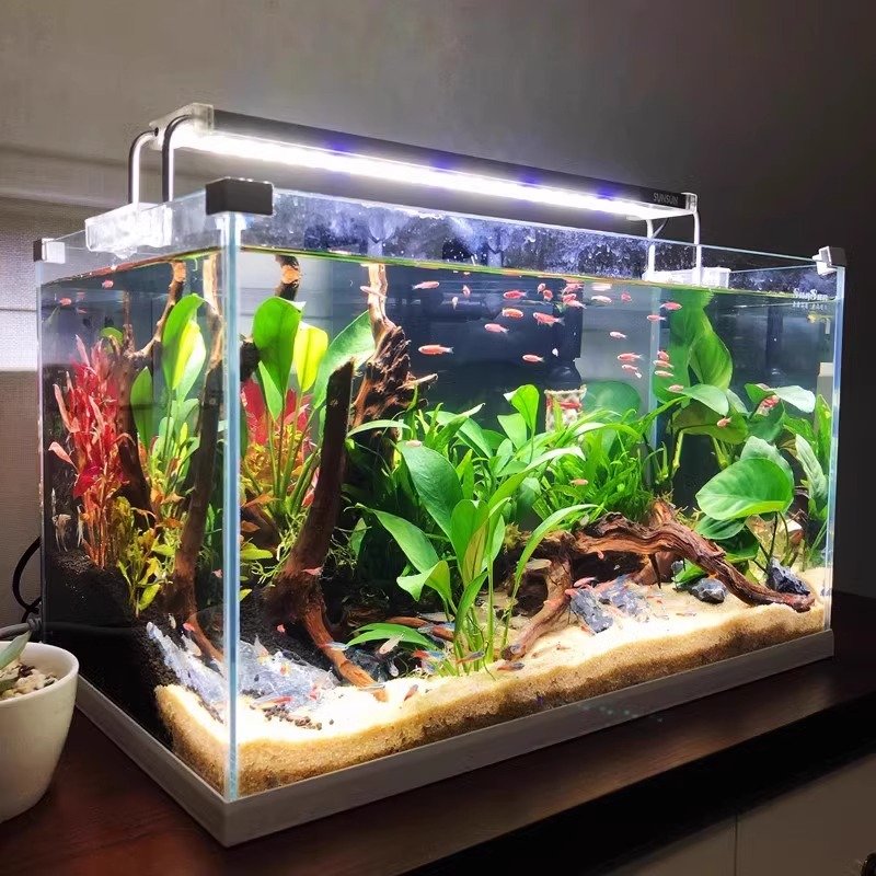 Super White Desktop Aquarium Widened Fish Tank for Living Room Small Ecological Pond Medium Fish Direct Sales from Globe