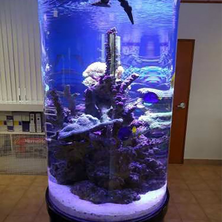 Acrylic Glass Fish Tank Farming Round Fish Pond Tank Clear Green Waterproof Custom Accessories Aquariums@