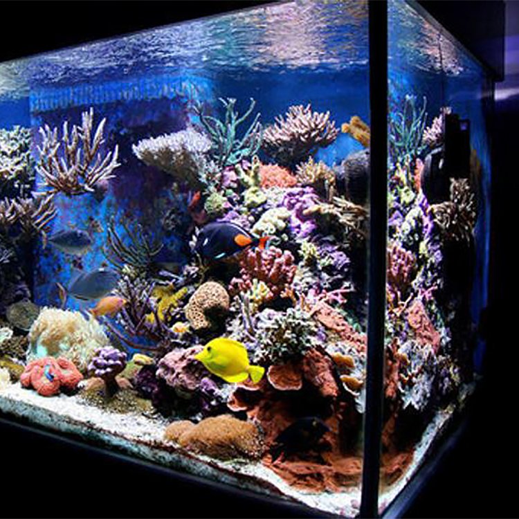 Acrylic Glass Fish Tank Farming Round Fish Pond Tank Clear Green Waterproof Custom Accessories Aquariums@