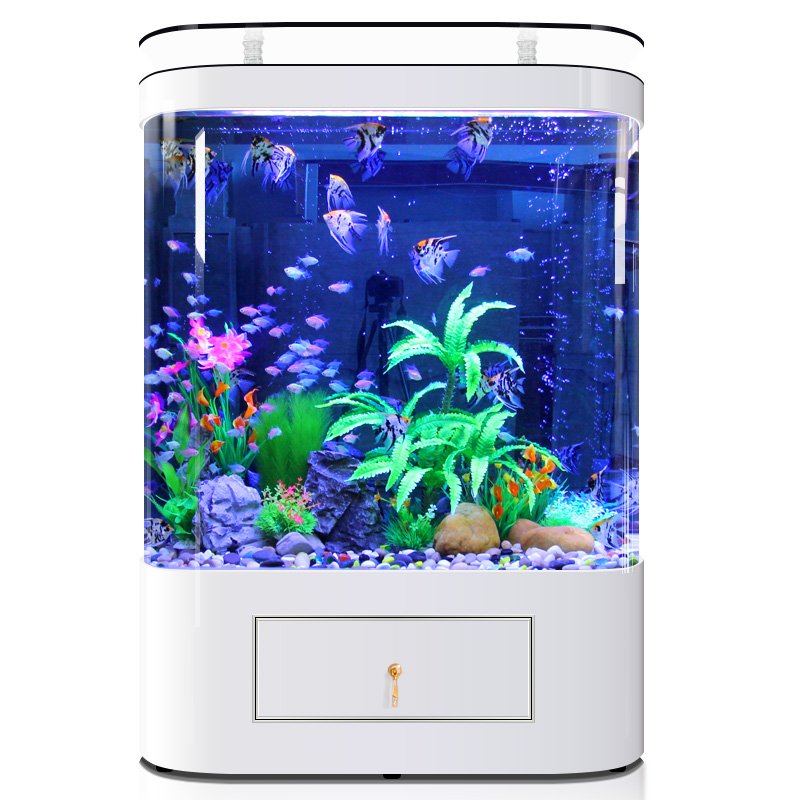 fish tank aquarium Best Selling Customizable Big Huge Clear Round Acrylic Fish Tank Aquarium