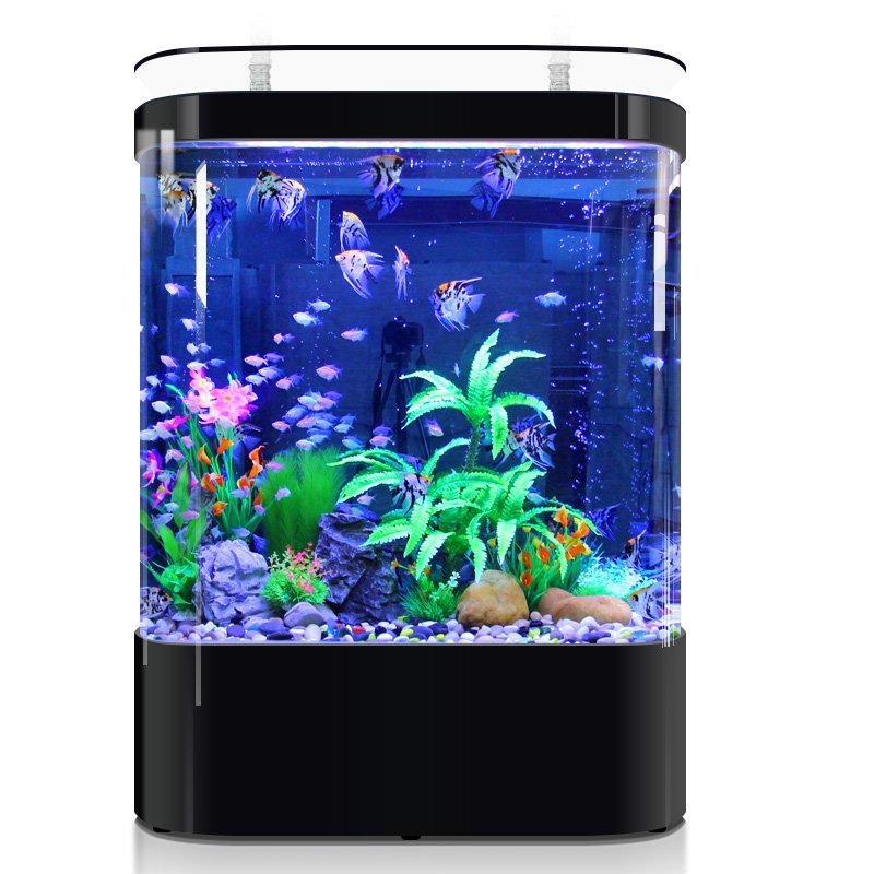 fish tank aquarium Best Selling Customizable Big Huge Clear Round Acrylic Fish Tank Aquarium