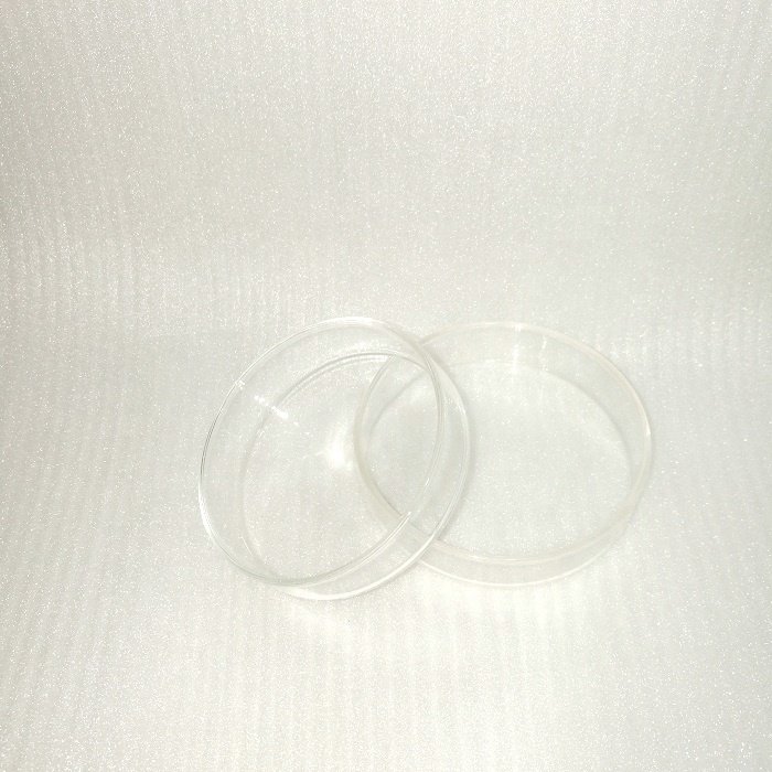 Aquarium Tank 75mm Round Glass Feeding Dish for Red Crystal Shrimp Reptile Insect