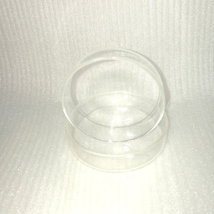 Aquarium Tank 75mm Round Glass Feeding Dish for Red Crystal Shrimp Reptile Insect