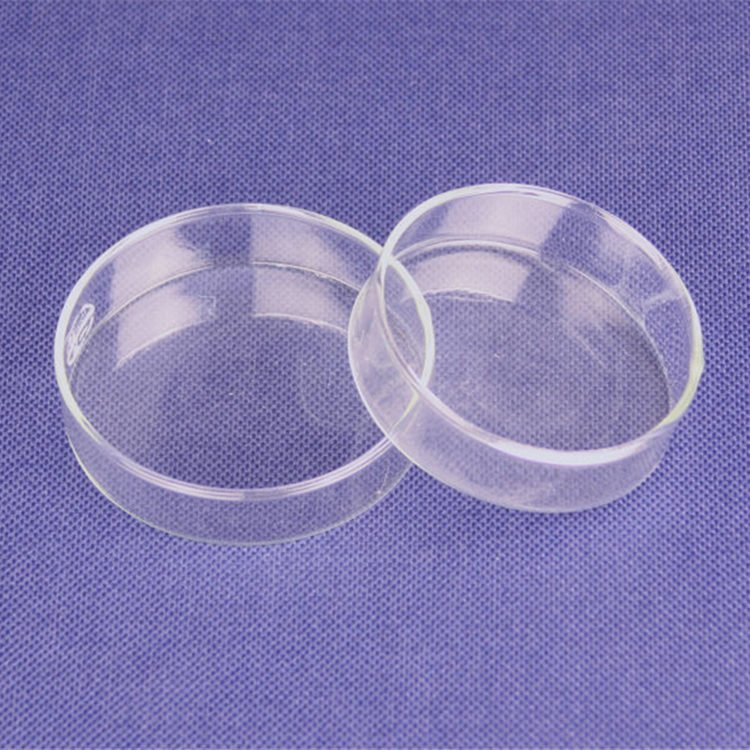 Aquarium Tank 75mm Round Glass Feeding Dish for Red Crystal Shrimp Reptile Insect