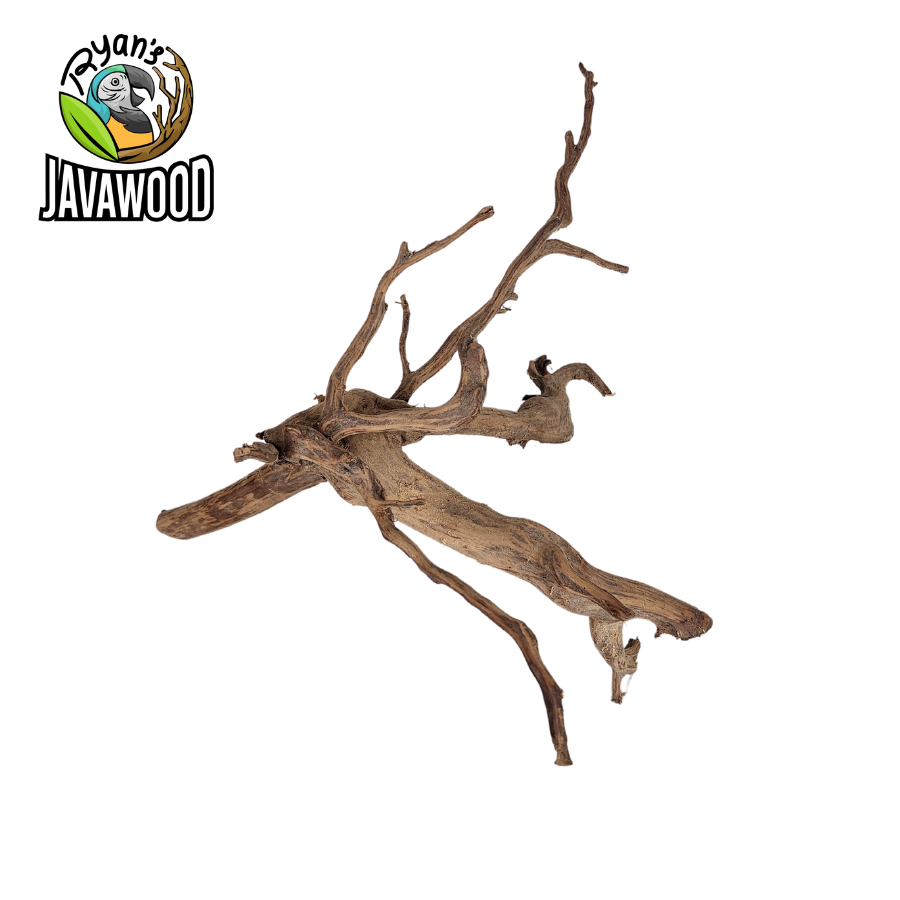 natural accessories and decoration aquascape spider wood and hardwood ALTINGIA EXCELSA original from Indonesia
