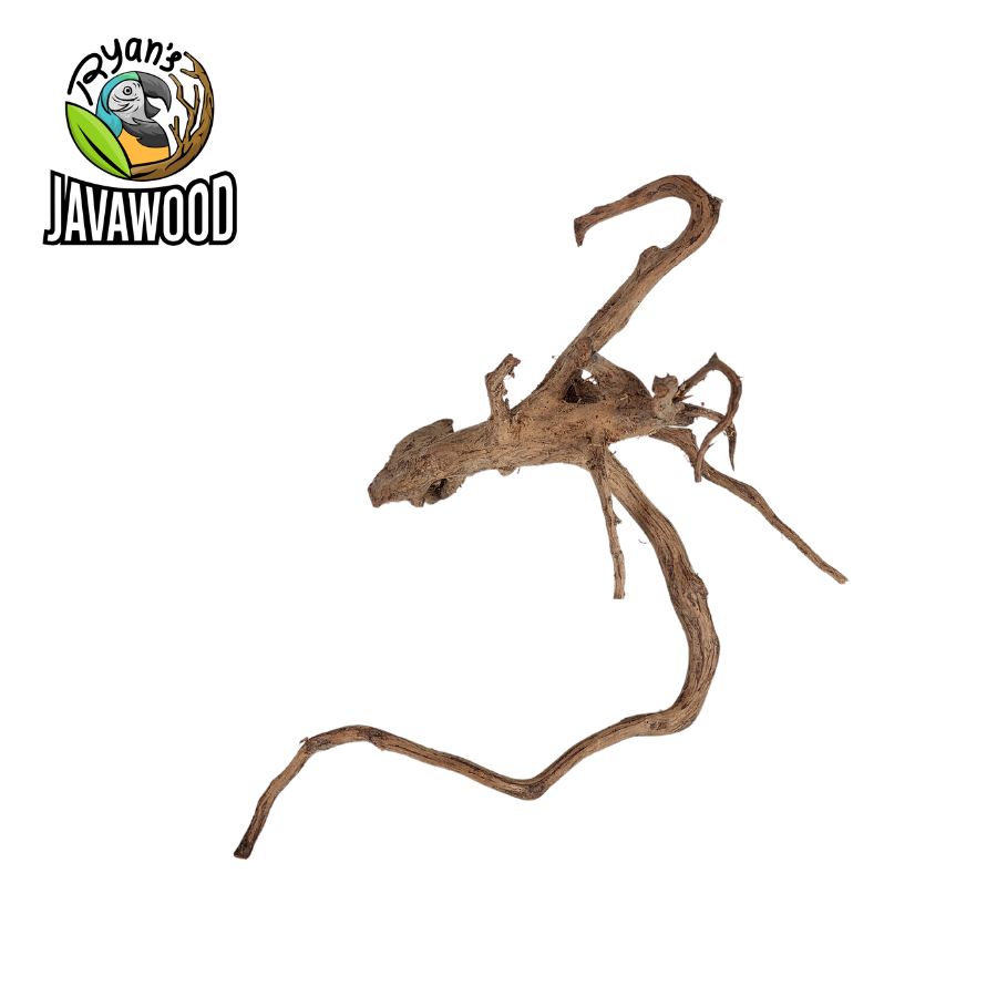 natural accessories and decoration aquascape spider wood and hardwood ALTINGIA EXCELSA original from Indonesia