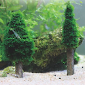 Landscape Series for Aquarium Equipment