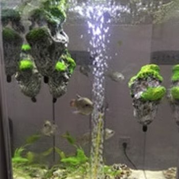 Landscape Series for Aquarium Equipment