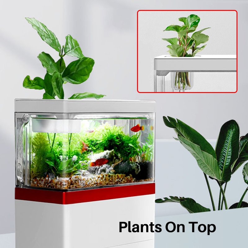 Self Cleaning MINI Acrylic Betta Fish Tank with LED Light Water Pump Filter Phone Stand Plastic Small Nano Fish Aquarium Tank