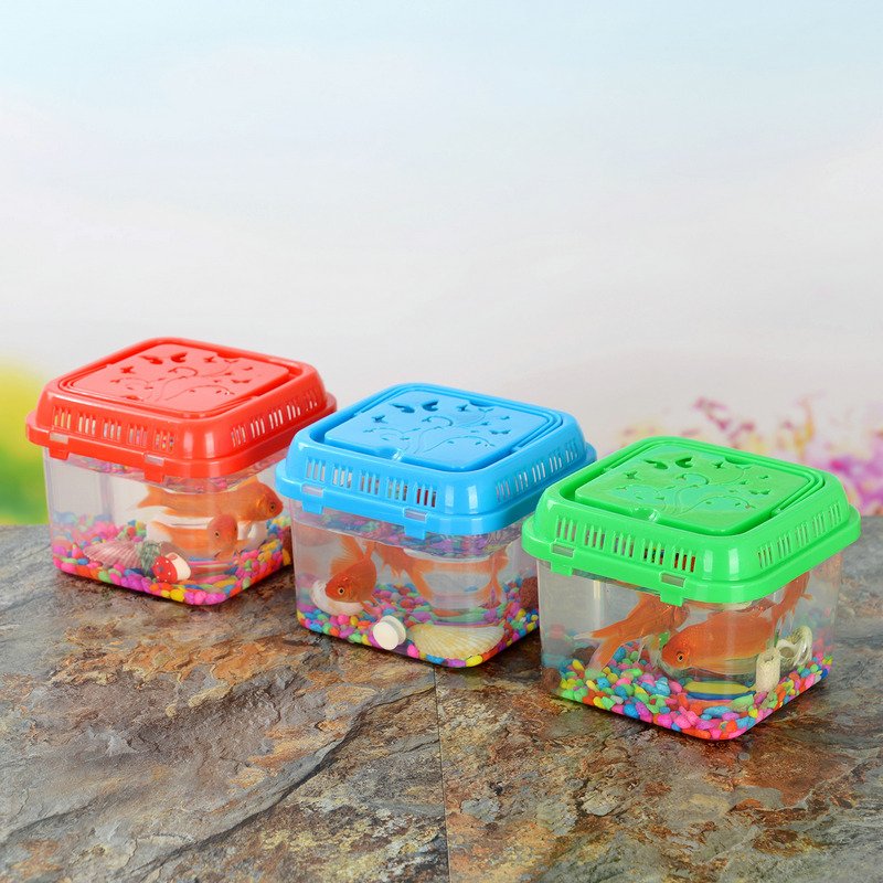 Mini Portable Plastic Fish Tank with Goldfish Small Aquarium Accessories Wholesale Usage for Water