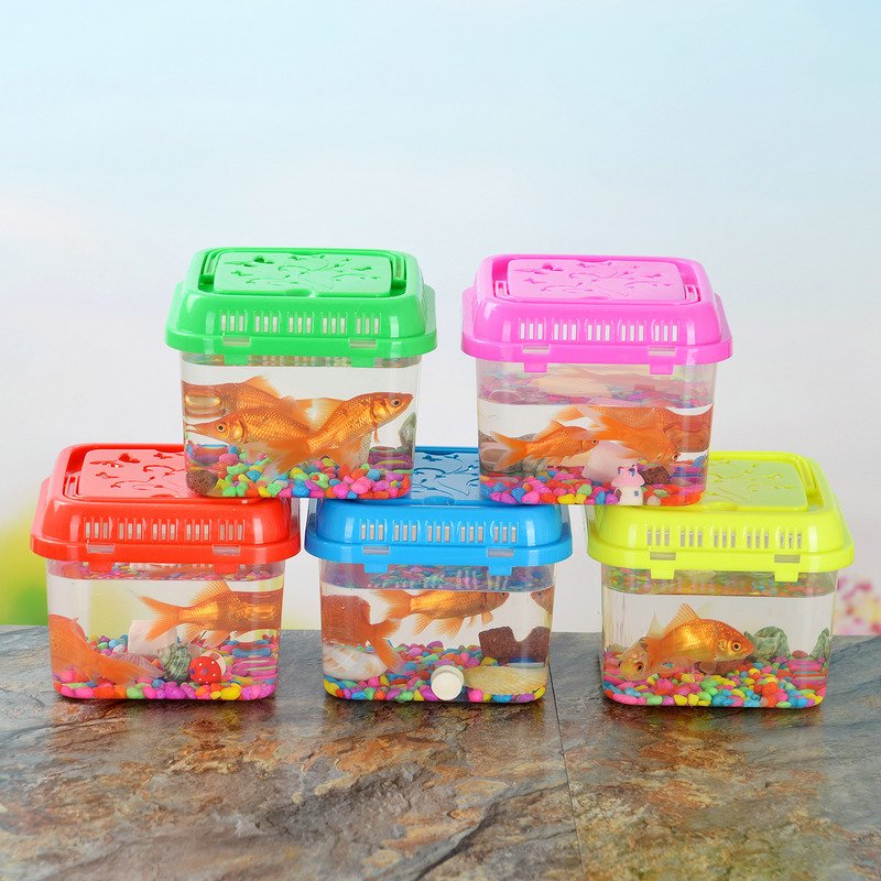 Mini Portable Plastic Fish Tank with Goldfish Small Aquarium Accessories Wholesale Usage for Water