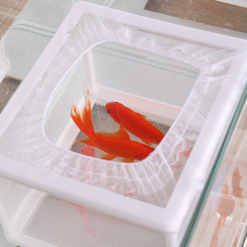 Aquarium small fish incubation isolation box tropical fish breeding box