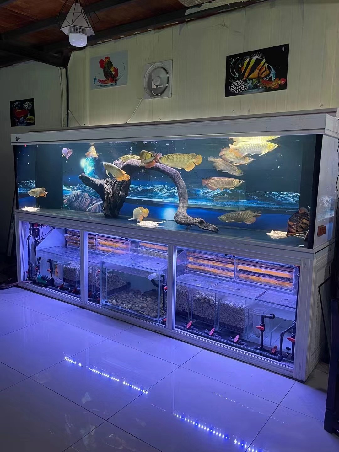 Customized Fish Tank Stand Large fish tank Rimless Fish Tank Aquarium