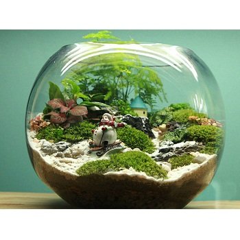 SMART ROUND GLASS FISH BOWL AQUARIUM