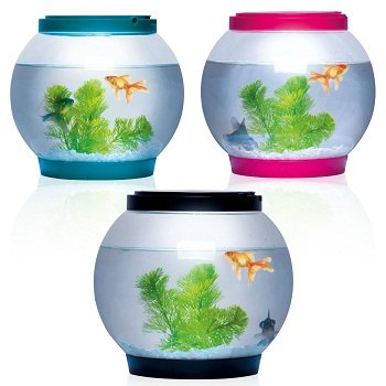 SMART ROUND GLASS FISH BOWL AQUARIUM