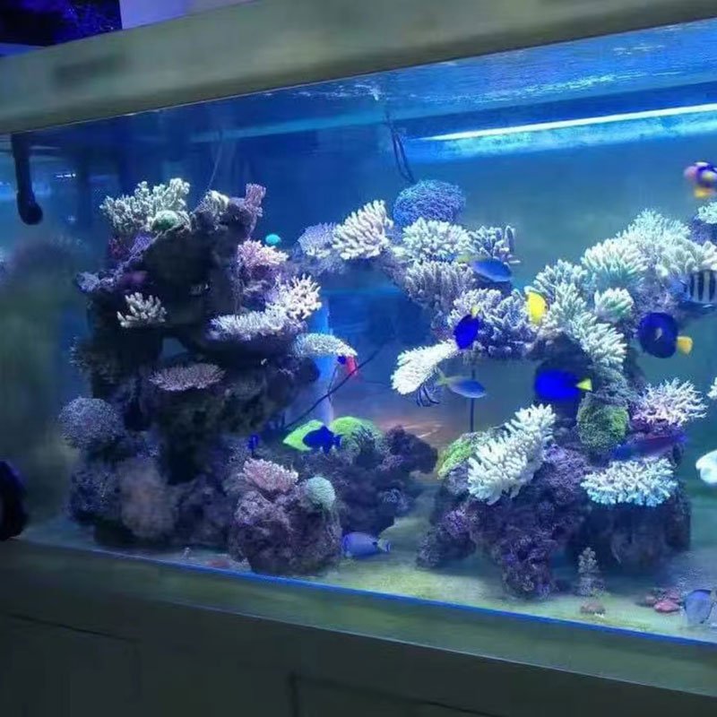 Factory Custom Acrylic Aquarium with Personalized Features Unleash Your Creativity