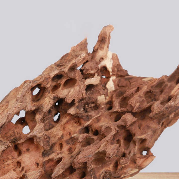 Aquarium fish tank landscaping natural porous fish and shrimp to avoid driftwood