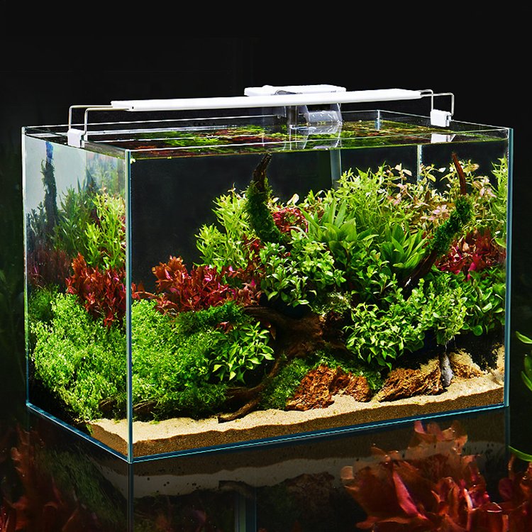 Manufacturer Factory Direct Sale Hot Sale Ultra White Fish Tank Great Fish Aquarium Good Quality Tank